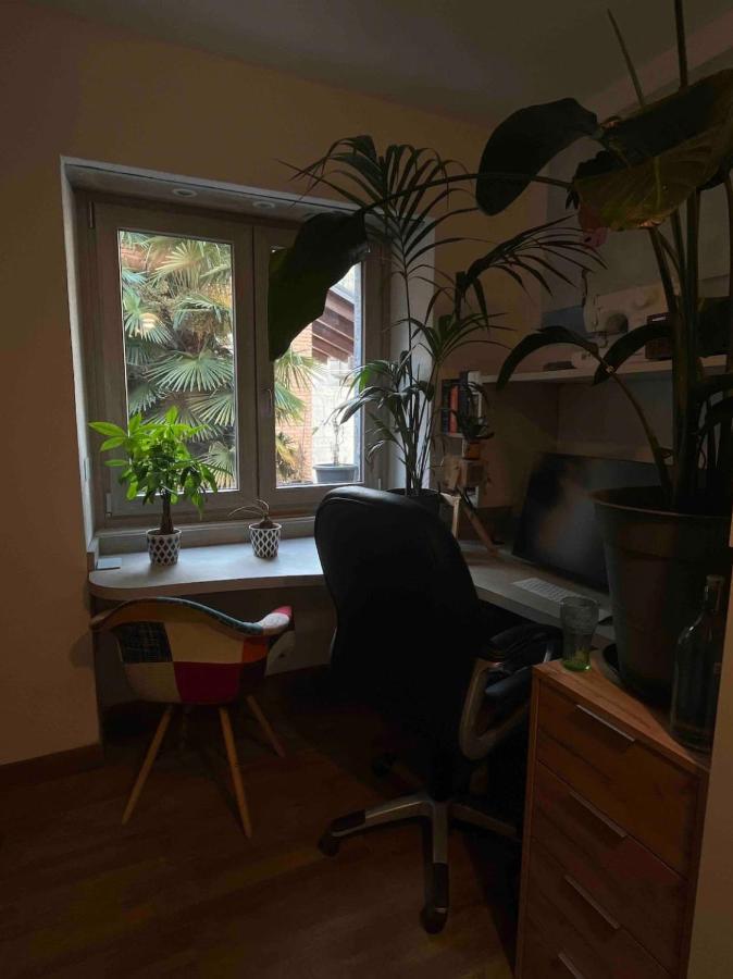 Luce Private Deluxe Apartment Near The Station טיראנו מראה חיצוני תמונה